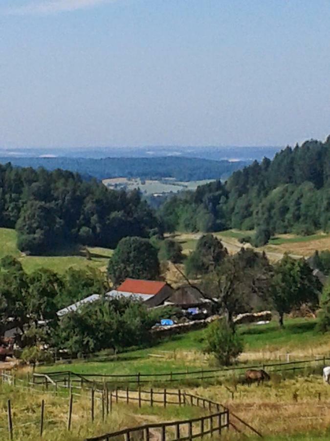 Fewo Am Neckarsteig Neckarsteinach Kültér fotó