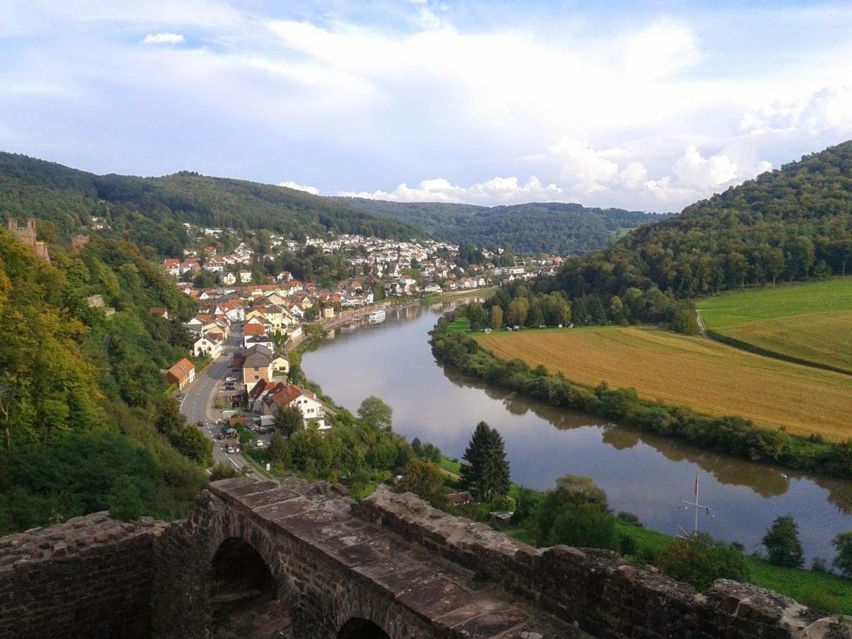 Fewo Am Neckarsteig Neckarsteinach Kültér fotó