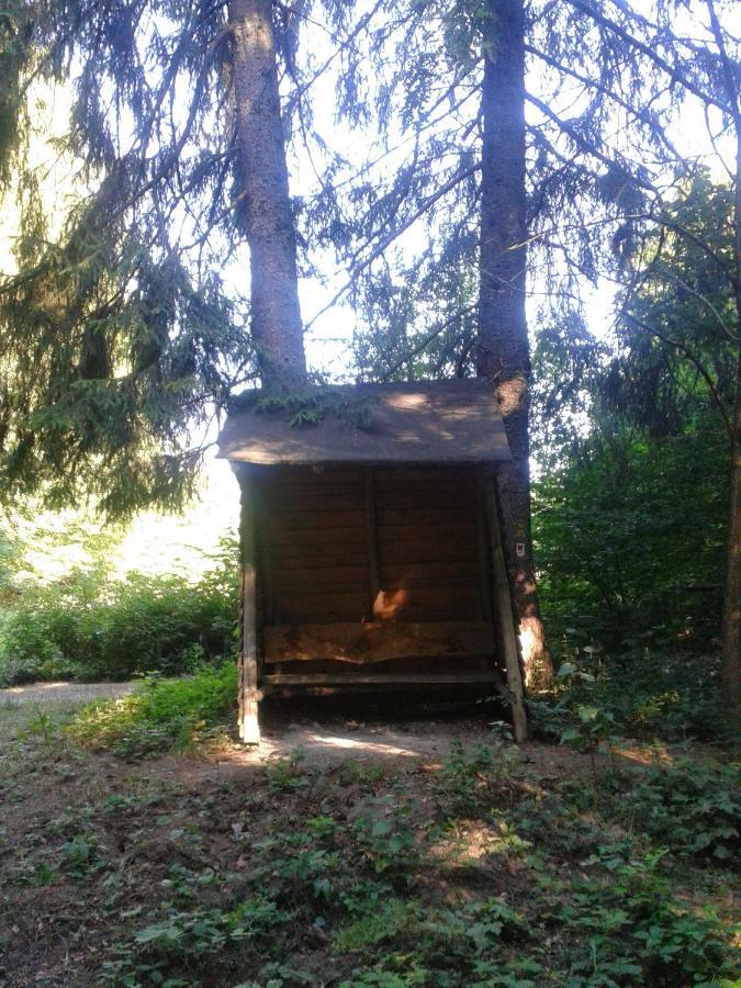 Fewo Am Neckarsteig Neckarsteinach Kültér fotó