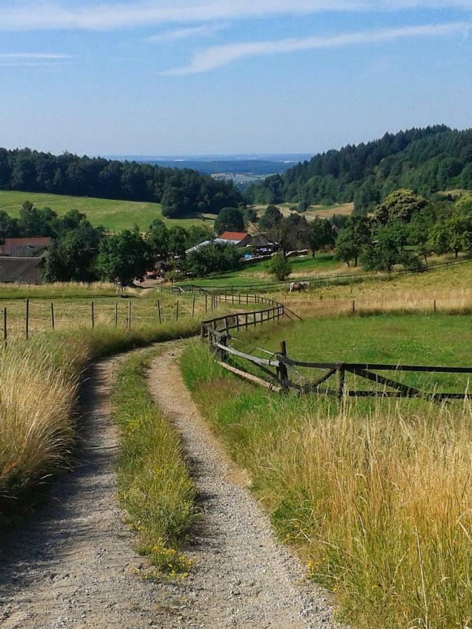 Fewo Am Neckarsteig Neckarsteinach Kültér fotó