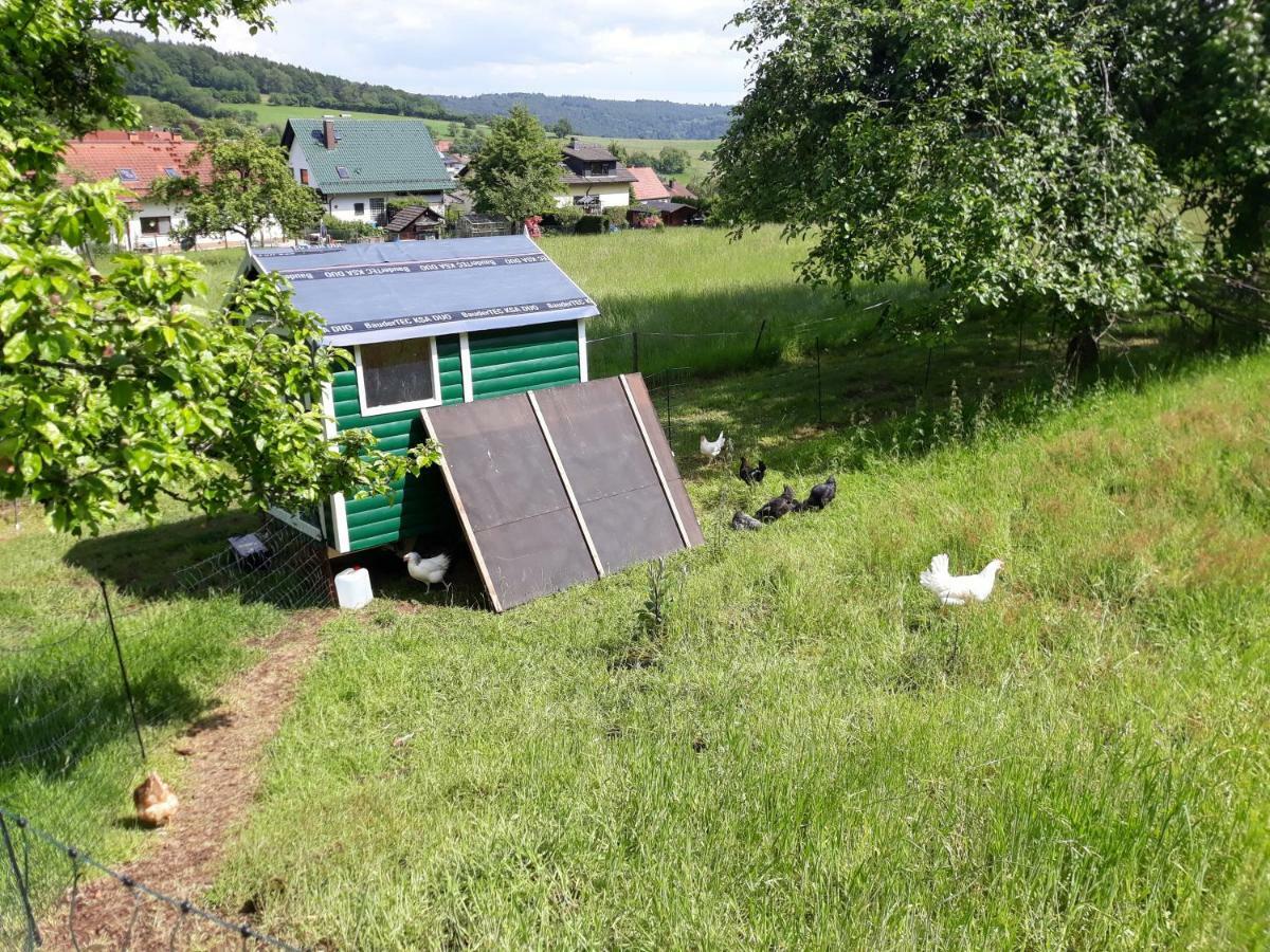 Fewo Am Neckarsteig Neckarsteinach Kültér fotó